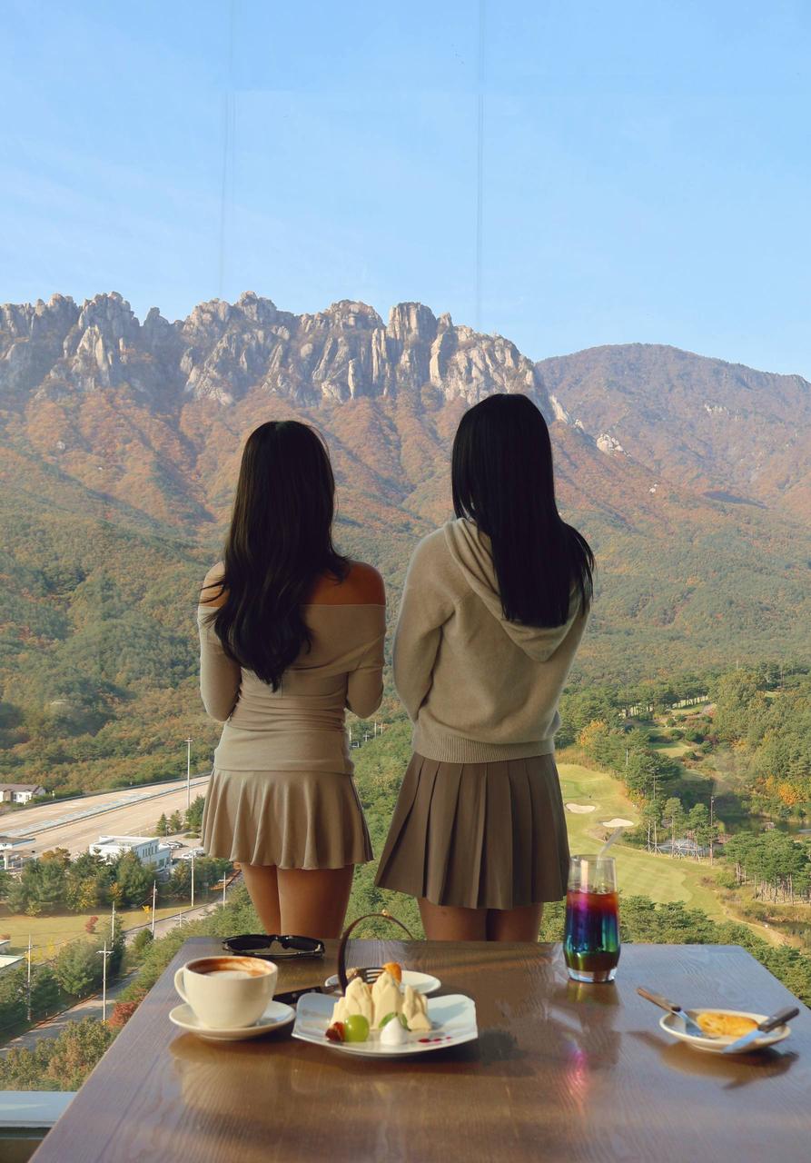 ☕️《藏在雪岳山脚下的绝美山景咖啡厅｜The Ambrosia》